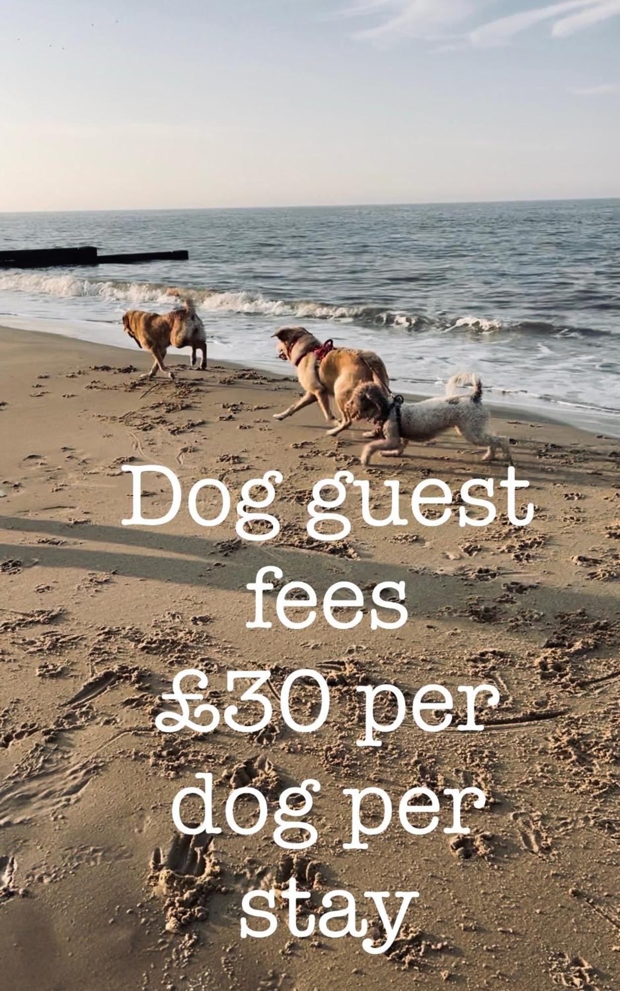 فيلا Coastal Terrace Dogs Welcome Optional Hot Tub Sea Palling المظهر الخارجي الصورة